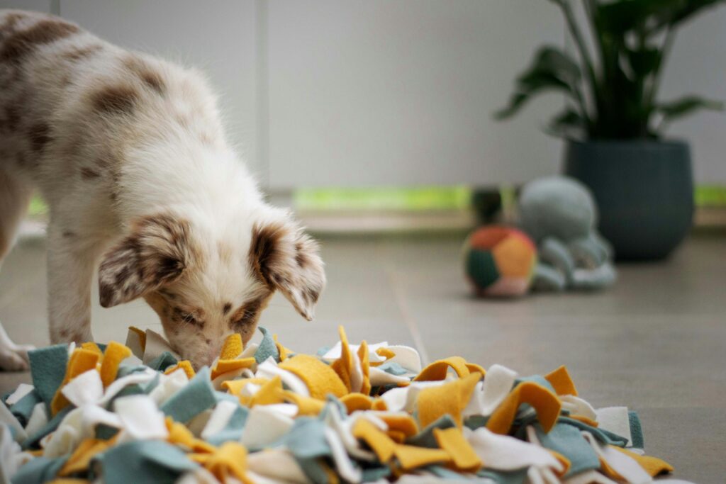 best snuffle mat for large dogs on floor
